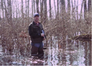 A wetland assessment helps property owners determine if an area qualifies as a wetland before work begins.