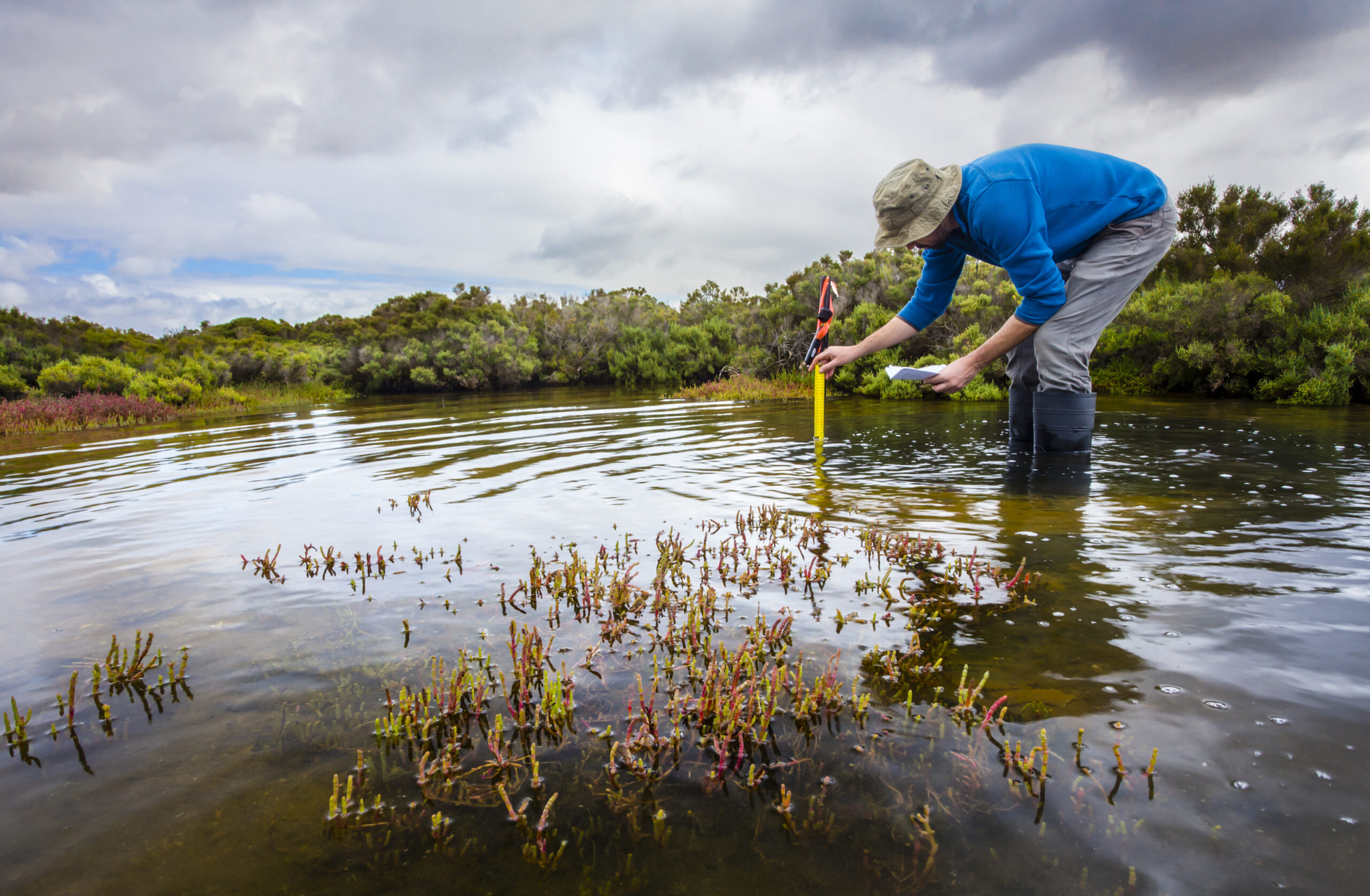 Ecological-Stormwater-and-Wetlands-scaled